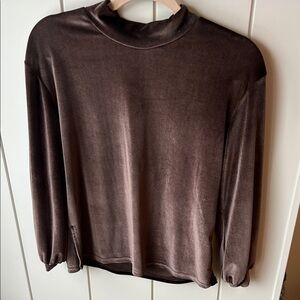 Chic Velvet Women's Mock Turtleneck Top in Rich Brown